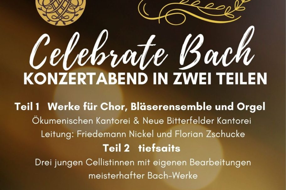 Offenes Buch zwischen Büchern in einer gemütlichen Buchhandlung.