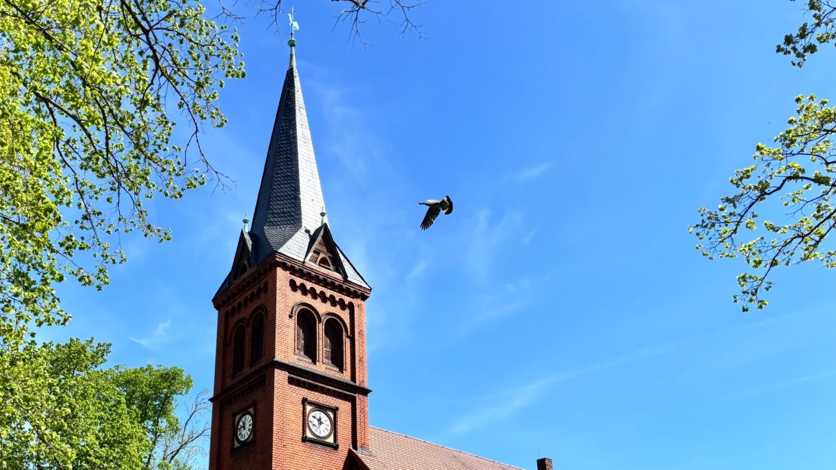 Kirche Jütrichau, Micha Kühnast (Meinsdorf)